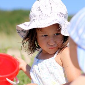 Kinder, die sich um Spielzeug streiten